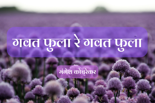 गवत फुला रे गवत फुला